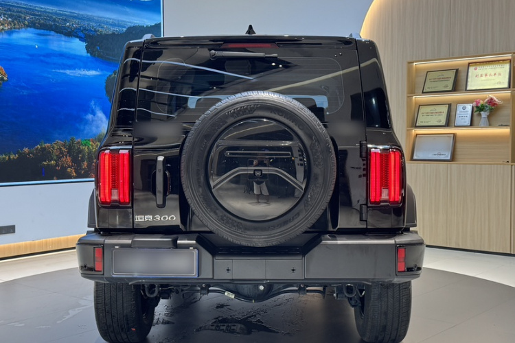 坦克300 2024款 2.0T 挑战者车身外观6013