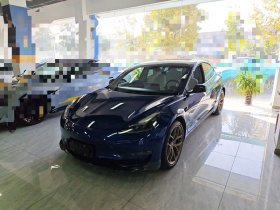 特斯拉 Model 3 2021款 Performance高性能全轮驱动版