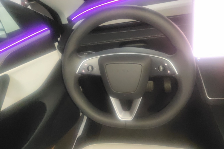 特斯拉 Model Y 2025款 长续航全轮驱动版局部细节13