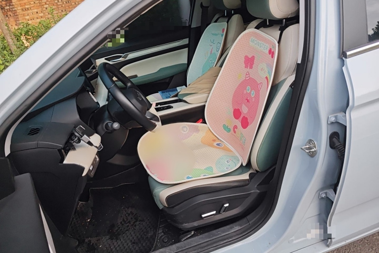 吉利汽车 帝豪L HiP 2022款 1.5TD-DHT Pro 100KM Super 迅局部细节19