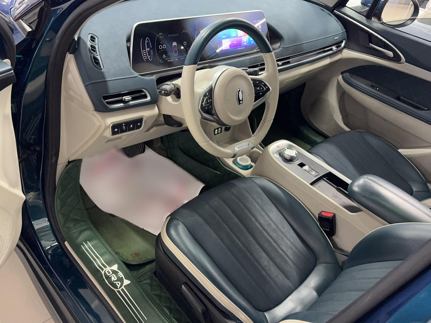 欧拉好猫 2021款 400km标准续航 维纳斯版 三元锂