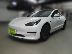 特斯拉 Model 3 2022款 后轮驱动版