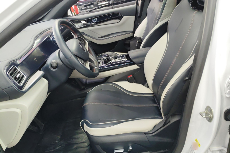 比亚迪 秦PLUS 2021款 EV 500KM 豪华型中控内饰19