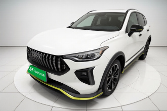 哈弗赤兔 2021款 激擎版 1.5T 黄金兔