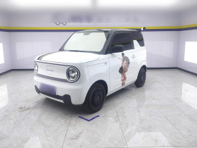 吉利汽车 2024款 熊猫mini 200km 耐力熊