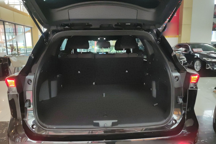 丰田 皇冠陆放 2023款 2.5L HEV两驱进取版（五座）局部细节23