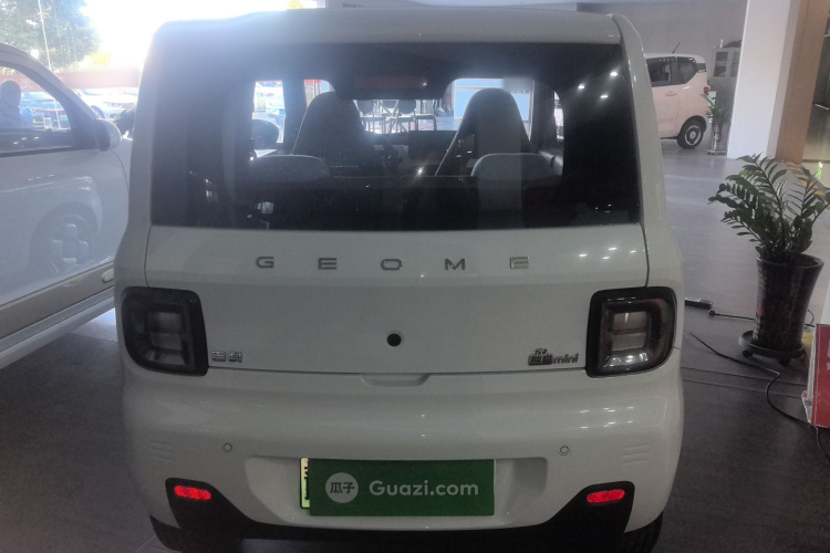 吉利银河 2024款 熊猫mini 200km 耐力熊车身外观6