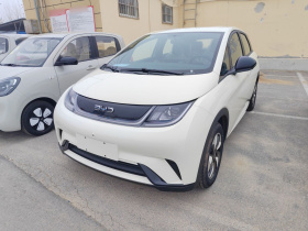 比亚迪 海豚 2025款 420km 自由版