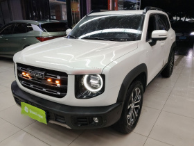 哈弗大狗 2021款 1.5T DCT两驱边牧版