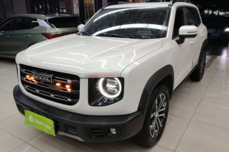 哈弗大狗 2021款 1.5T DCT两驱边牧版