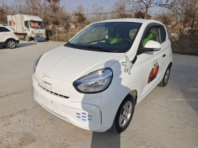 荣威 科莱威CLEVER 2021款 302km全能版