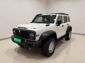 坦克300 2023款 2.0T 铁骑02