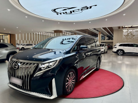 广汽传祺 传祺M8 2021款 大师系列 390T 尊贵版