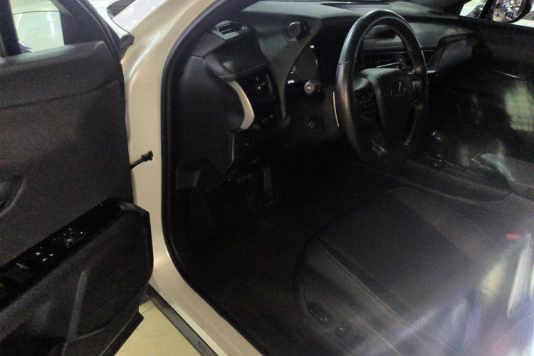 雷克萨斯UX新能源 2020款 300e 纯·悦版中控内饰20