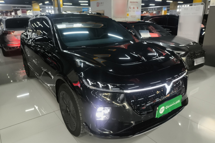 岚图汽车 岚图知音 2024款 四驱全球版车身外观6002