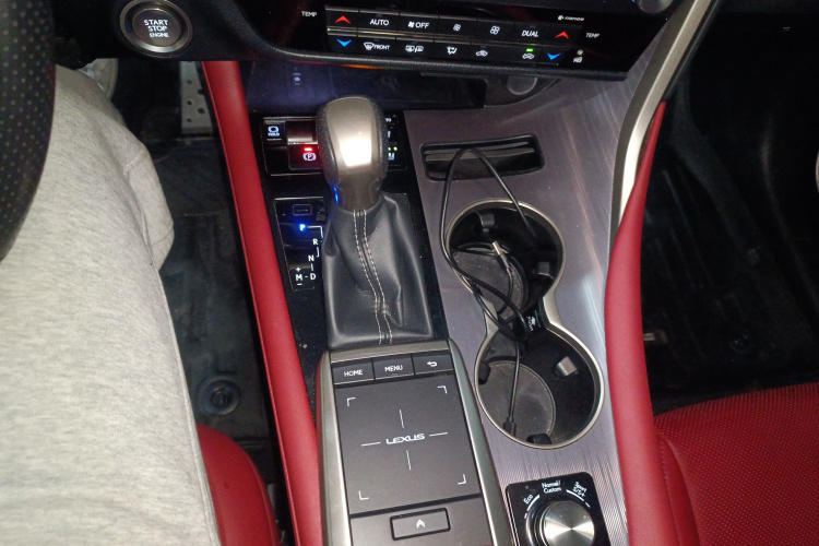 雷克萨斯RX 2021款 300 四驱F SPORT局部细节18