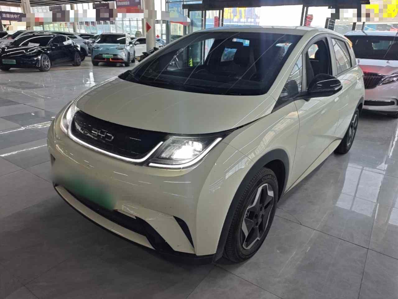 比亚迪 海豚 2025款 420km 活力版(2)