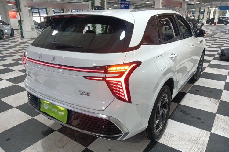 红旗HS3 2024款 1.5T 善为版车身外观6005