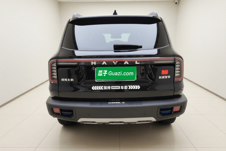 哈弗大狗 2024款 1.5T DCT拉布拉多版车身外观6