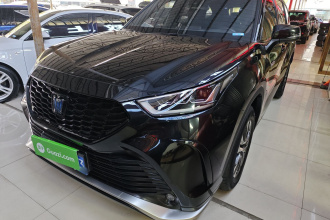 丰田 皇冠陆放 2023款 2.5L HEV四驱精英版