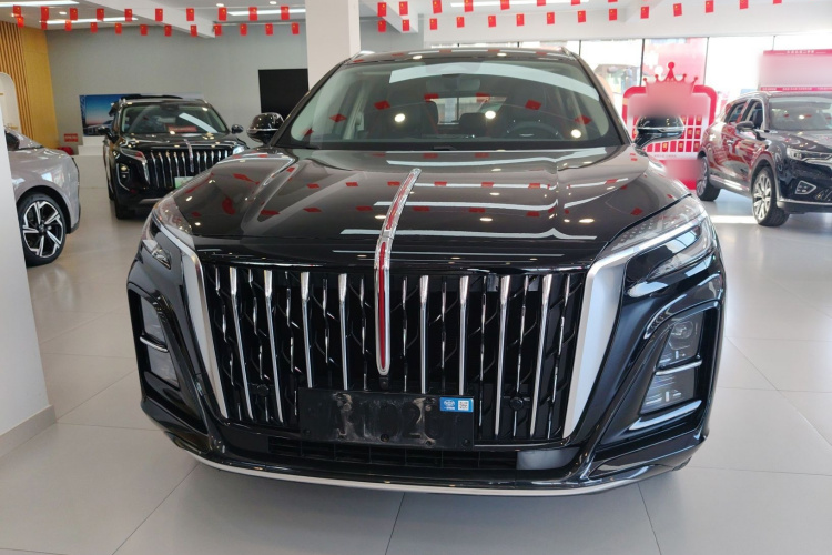 红旗HS3 2023款 1.5T 两驱善为版车身外观2