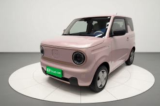 吉利银河 2024款 熊猫mini 200km 耐力熊