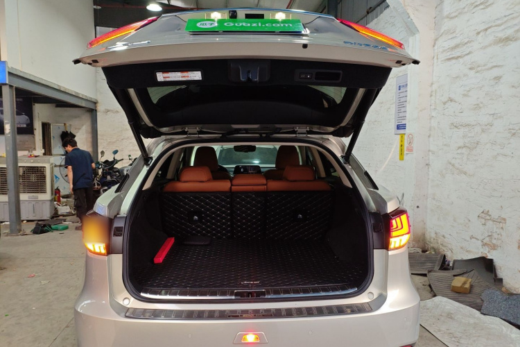 雷克萨斯RX 2020款 300 两驱舒适版 国VI局部细节23