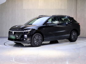 岚图汽车 岚图知音 2024款 四驱全球版