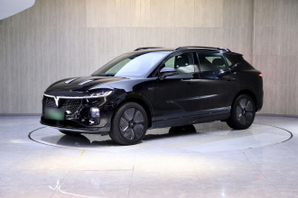 岚图汽车 岚图知音 2024款 四驱全球版