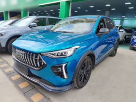 哈弗赤兔 2021款 激擎版 1.5T 黄金兔