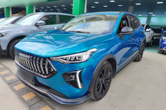 哈弗赤兔 2021款 激擎版 1.5T 黄金兔