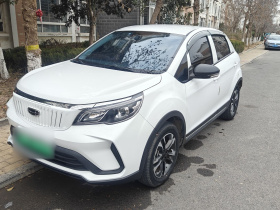 吉利几何 EX3 功夫牛 2021款 坚强牛牛