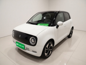 欧拉黑猫 2022款 351km 舒适型 三元锂