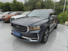 吉利汽车 星越L 2021款 2.0TD DCT EVO两驱尊贵型