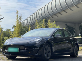特斯拉 Model 3 2020款 标准续航后驱升级版