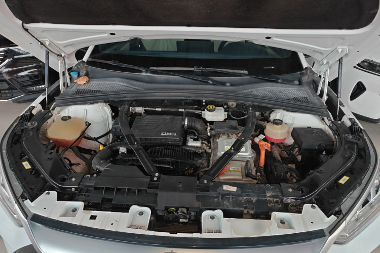 比亚迪 宋PLUS新能源 2021款 DM-i 51KM 尊荣型局部细节24