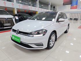 大众 高尔夫 2018款 230TSI 自动舒适型