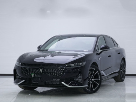 岚图汽车 岚图追光 2024款 PHEV 四驱超长续航旗舰版