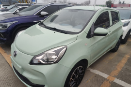 长安欧尚 奔奔E-Star 2022款 国民版 多彩限量款（快充版）磷酸铁锂