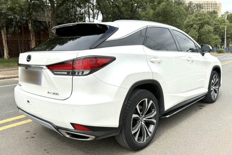 雷克萨斯RX 2020款 300 四驱典雅版 国VI车身外观6007
