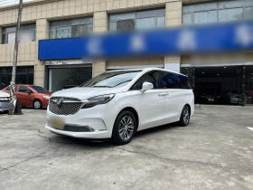 别克GL8 2020款 ES陆尊 653T 尊享型