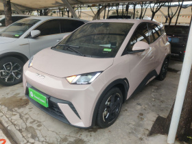 比亚迪 海鸥 2024款 荣耀版 405km 飞翔版