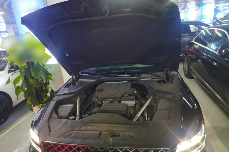 捷尼赛思G80 2023款 2.5T 后驱豪华版机舱底盘24