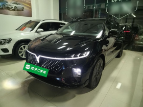 岚图汽车 岚图知音 2024款 四驱全球版