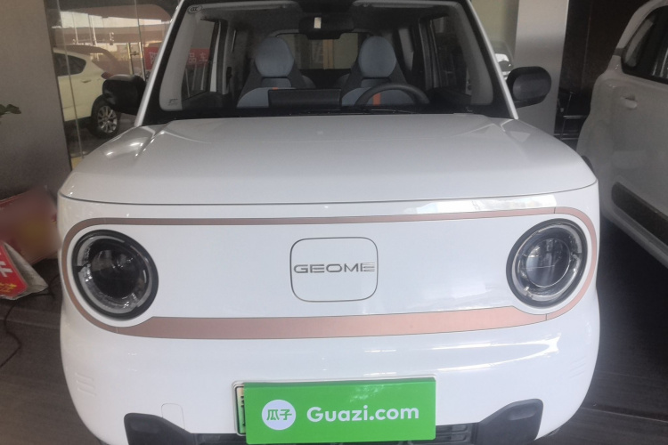 吉利银河 2024款 熊猫mini 200km 耐力熊车身外观2