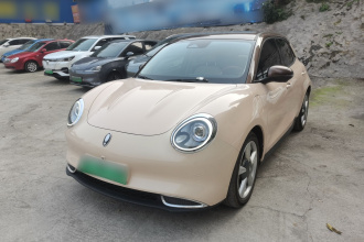 欧拉好猫 2021款 400km标准续航 维纳斯版 磷酸铁锂