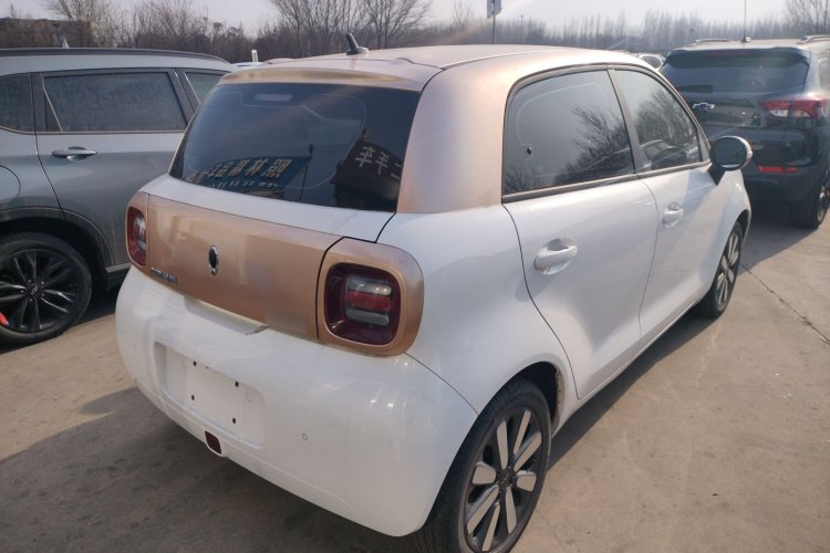 欧拉黑猫 2019款 351km 女神版车身外观7