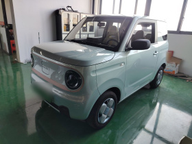 吉利银河 2024款 熊猫mini 200km 耐力熊