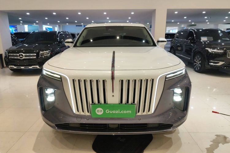 红旗E-HS9 2021款 510km 旗领版 四座车身外观2