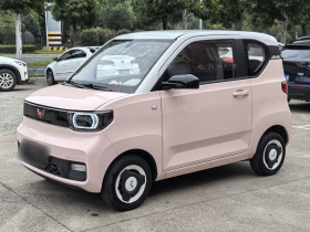 五菱汽车 宏光MINIEV 2021款 马卡龙时尚款 磷酸铁锂